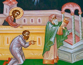 Patot.na.podviznikot95